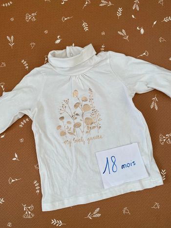 Sous pull tee-shirt 18 mois