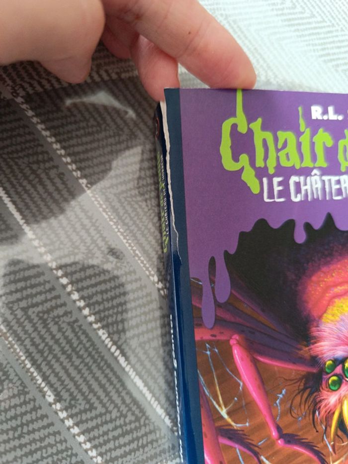 Livre chair de poule - photo numéro 4