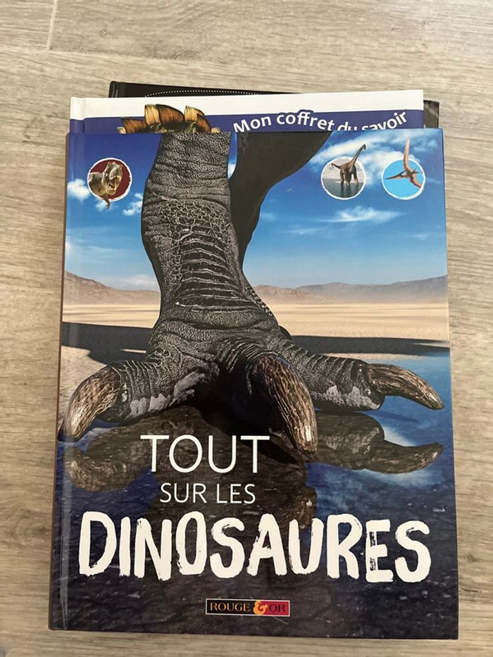 Lot 3 livres dinosaure - photo numéro 5