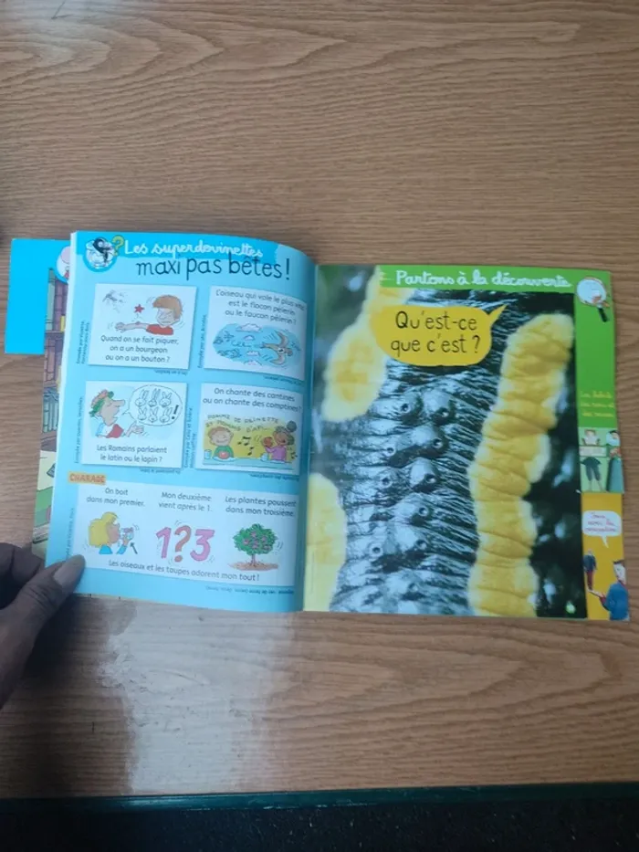Livre youpi François 1er - photo numéro 14