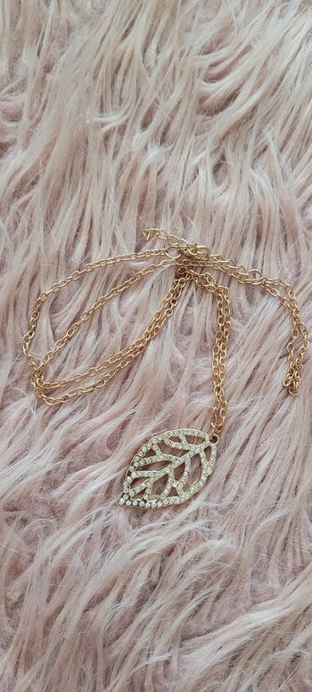 Collier long