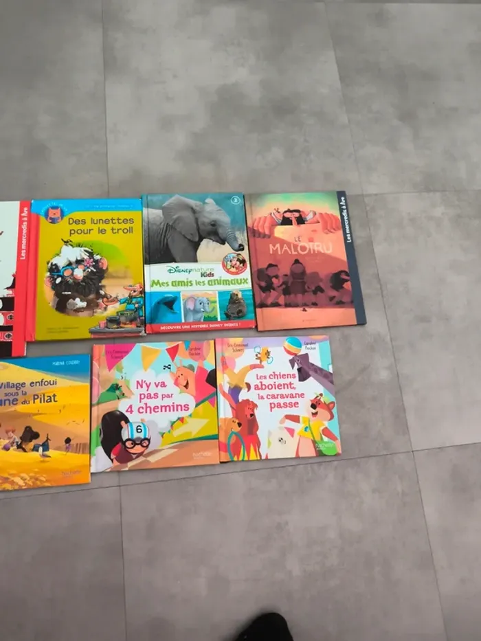 Livre des lunettes pour le troll et autres - photo numéro 4