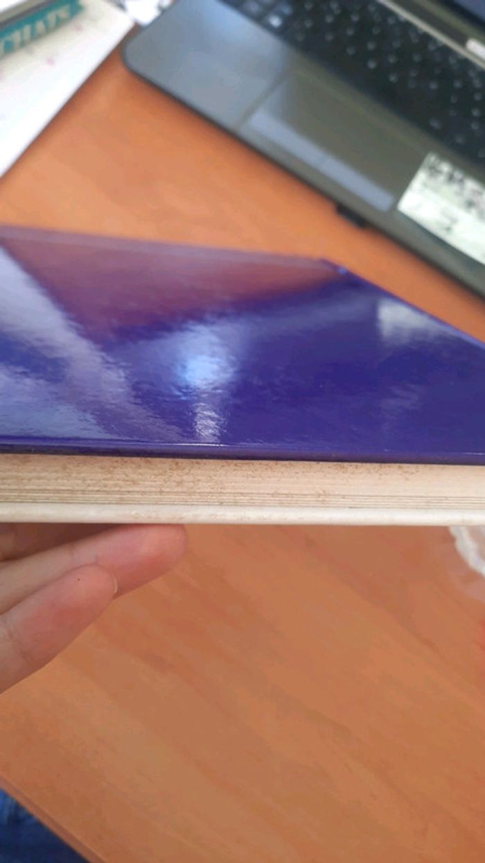 Livre découverte - photo numéro 4