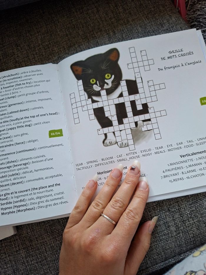 Livres pour enfant en anglais et français Le chat guerisseur - photo numéro 10