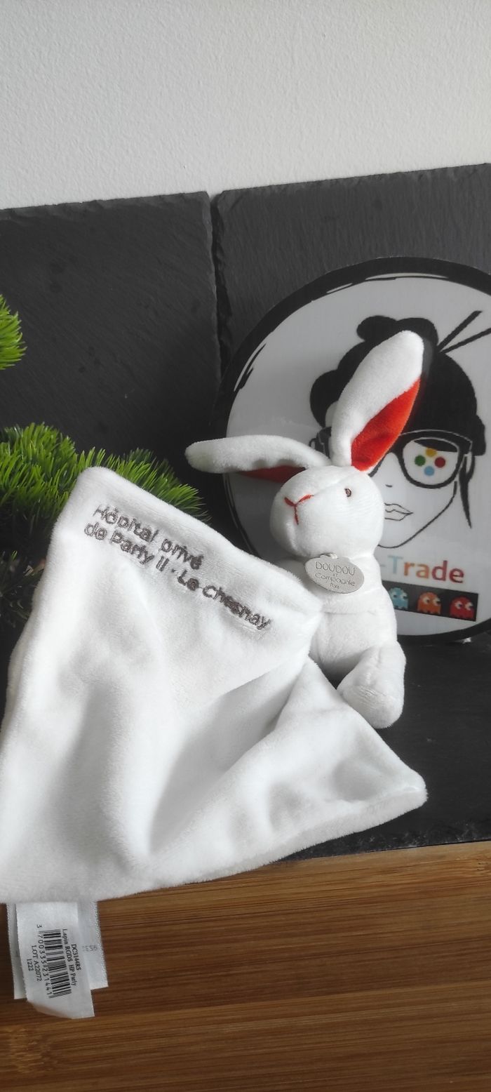 doudou et compagnie lapin blanc mouchoir hôpital privé de parly II le chesnay rouge DC3144RS