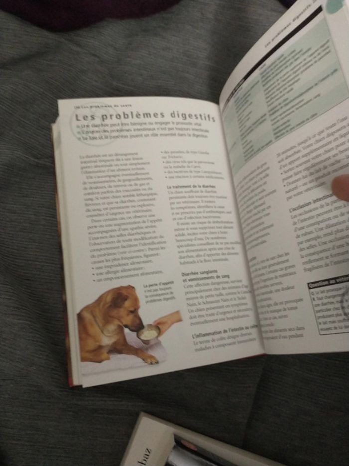 Le guide de référence du chien par docteur Bruce folge - photo numéro 14