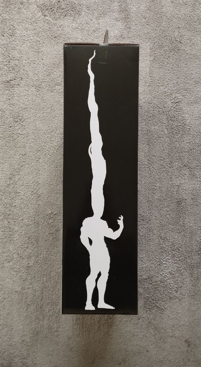 Figurine Gon adulte hunter x hunter - photo numéro 4