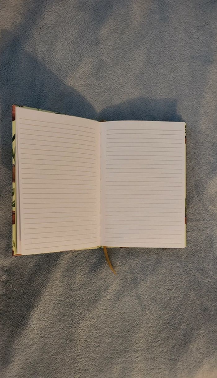 Carnet de notes cactus - photo numéro 3