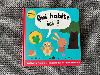 Livre de surprises bébé 