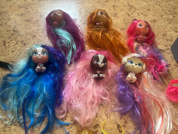 VIP pets - photo numéro 3