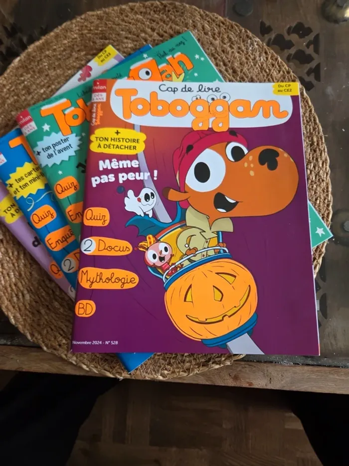 Lot de 5 Tobbogans. Dès 6 ans - photo numéro 7