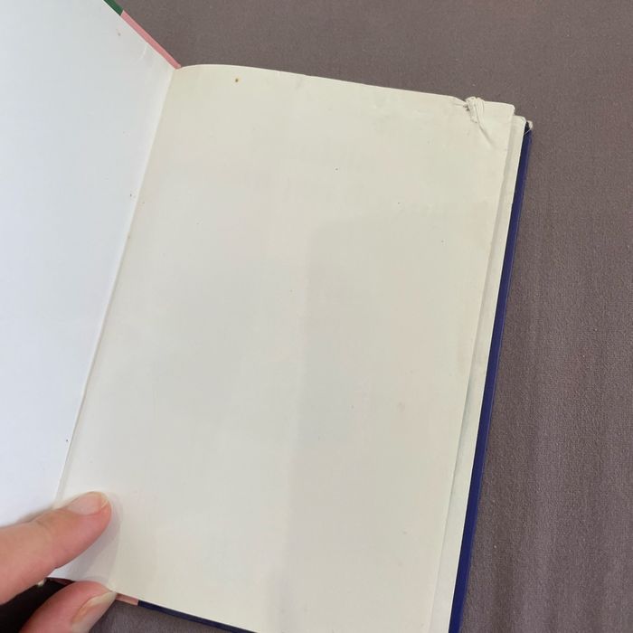 Livre Franklin ne veux pas dormir - photo numéro 3