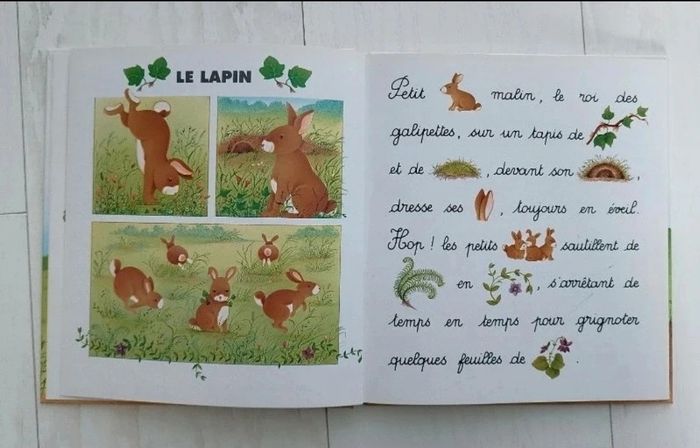 Lot de deux livres je lis - photo numéro 5