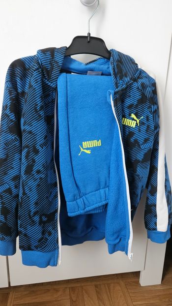 Ensemble puma
