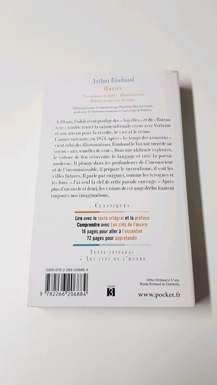 Arthur Rimbaud : Oeuvres - photo numéro 2