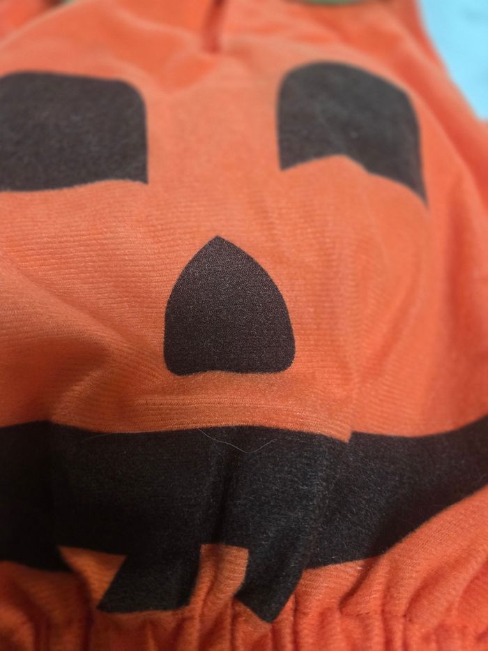 Déguisement d'halloween - photo numéro 2