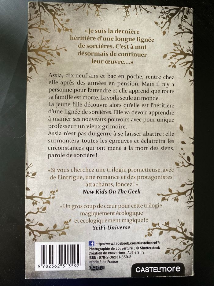 Saga l’héritière des Ravens - photo numéro 3