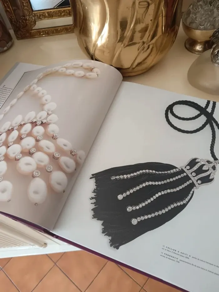 Livre Boucheron la capture de l'éclat - photo numéro 2