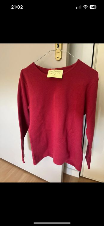 Pull felino