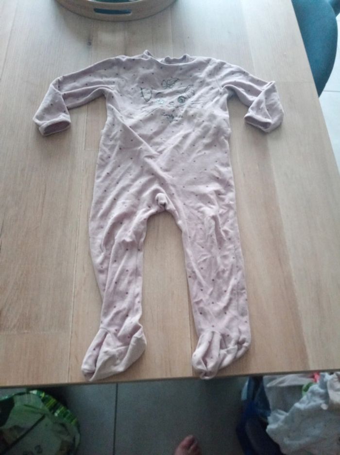 Grenouillère disney