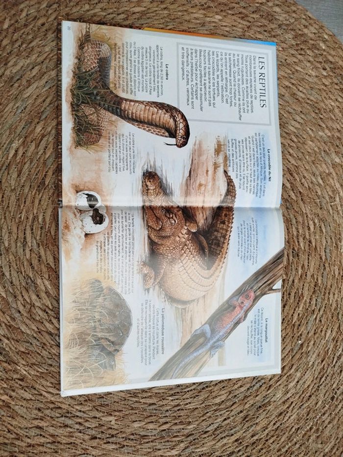 Livre animaux de la savane - photo numéro 5