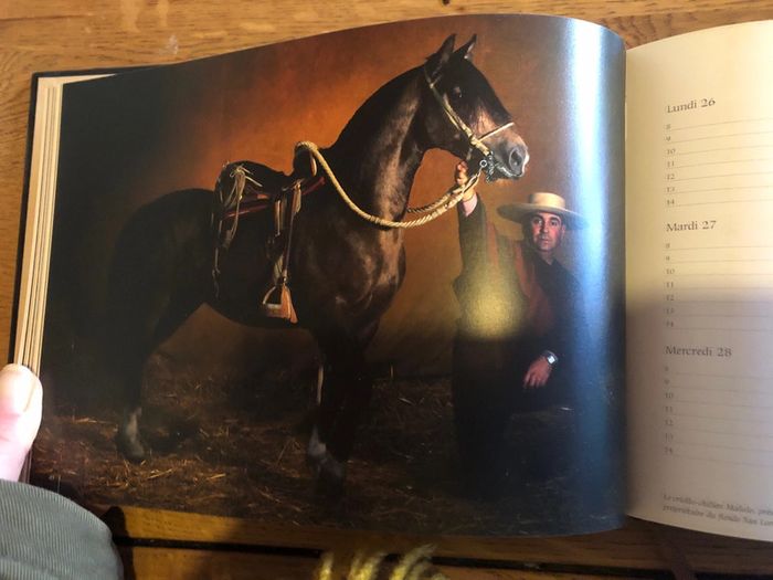 Agenda 2007 chevaux - photo numéro 2