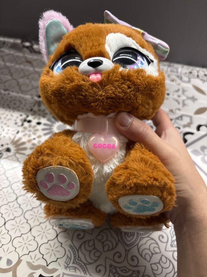 Cocoa chien present - photo numéro 3