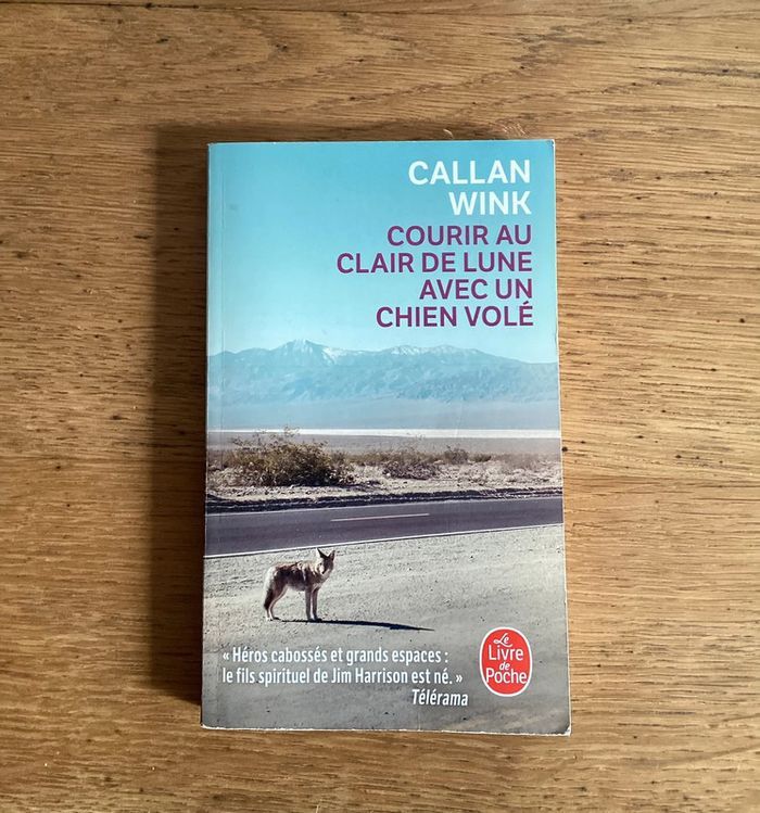 Livre « courir au clair de lune avec un chien volé » - photo numéro 1
