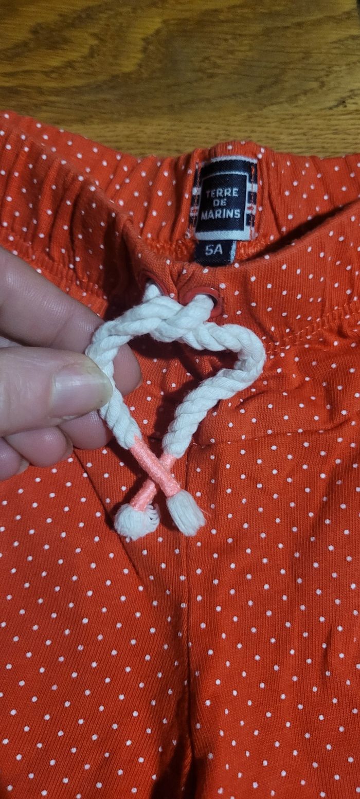 Short fin - photo numéro 3