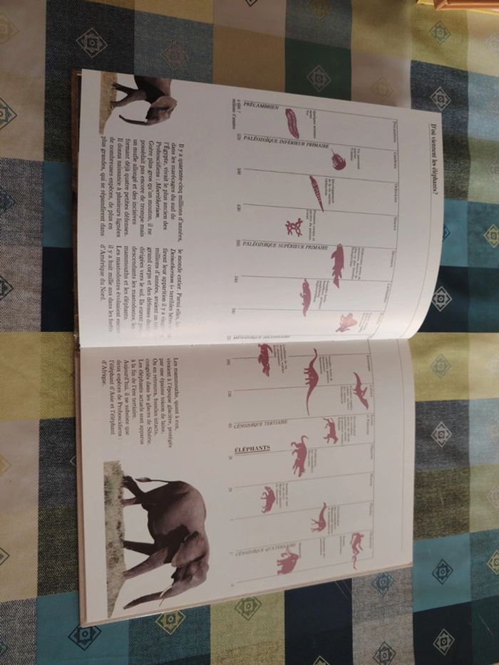 Livre sur l'éléphant - photo numéro 9