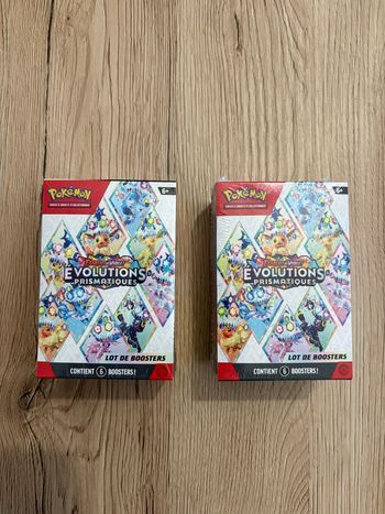 Lots de 2 bundels écarlate et violet