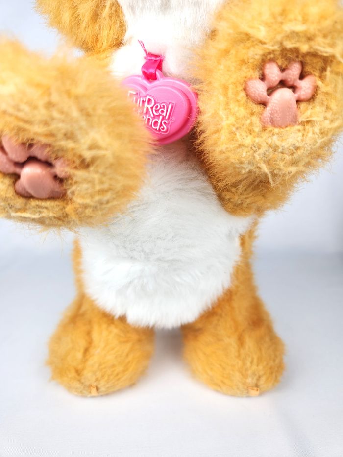 Peluche Interactive Daisy - Furreal Friends Hasbro - photo numéro 3