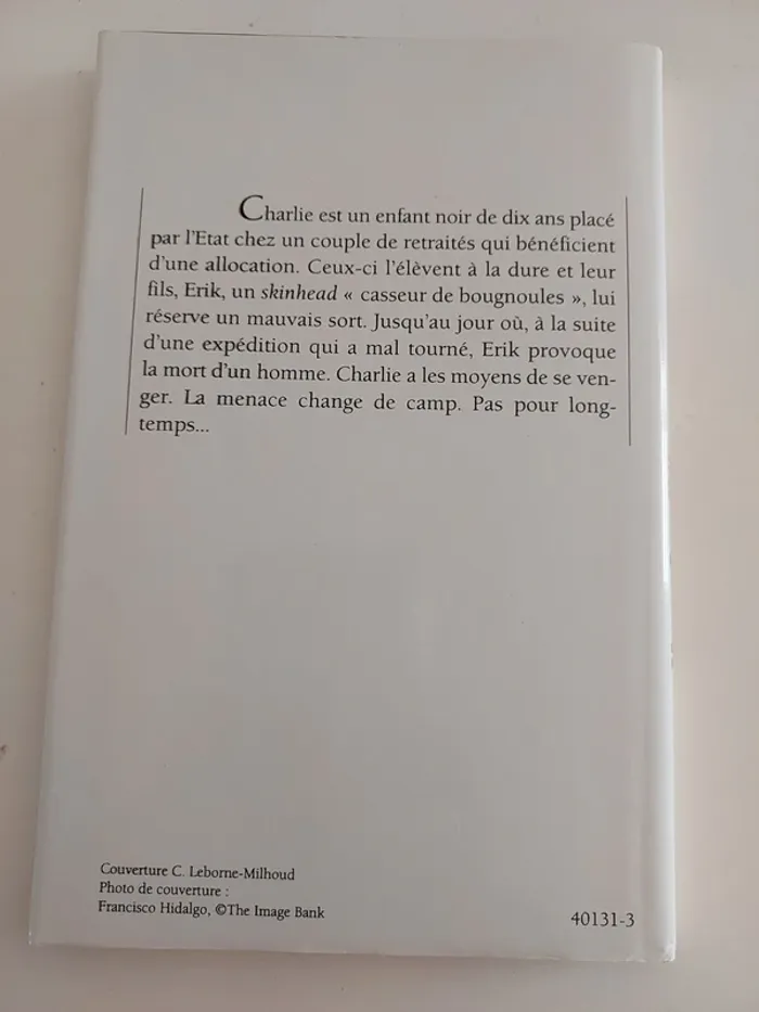 La menace, Yann Queffélec - photo numéro 2