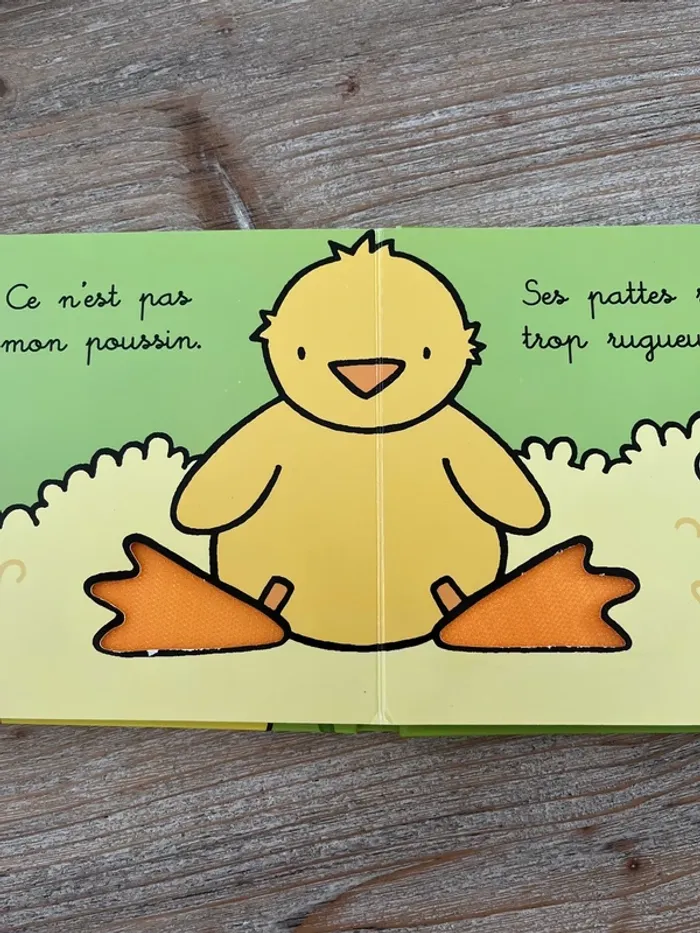 Livre enfant Où est mon poussin ? - photo numéro 3