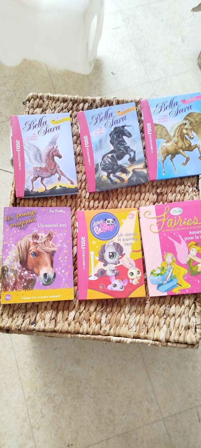 Lot livre jeune fille 🎀 - photo numéro 4