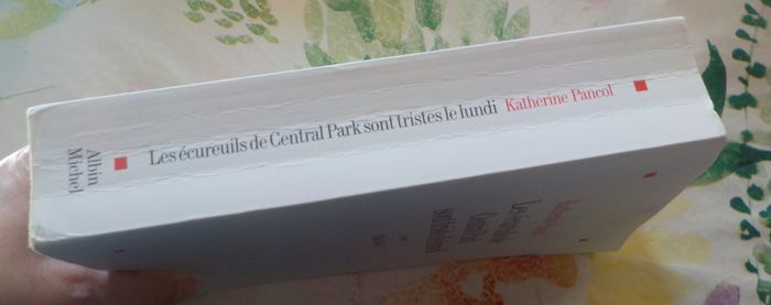 LES ECUREUILS DE CENTRAL PARK SONT TRISTES LE LUNDI de Katherine PANCOL Ed. Albin Michel - photo numéro 4