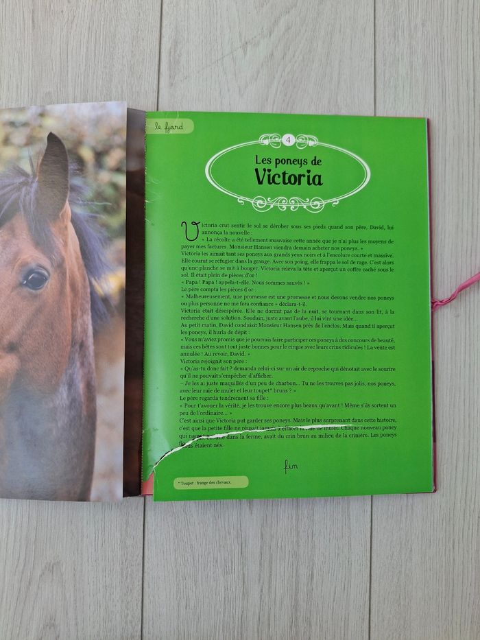 Livre Mes plus belles histoires de poney 🐴 - photo numéro 8