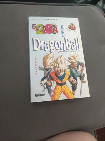 Manga dragon ball pastel tome 29