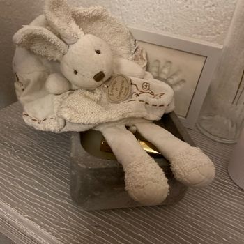 Doudou de secours plat lapin
