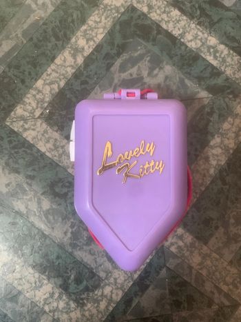 Lovely kitty winter villa