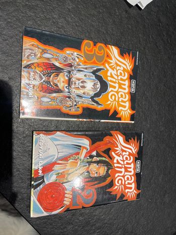 Lot de deux mangas chaman King deux et trois