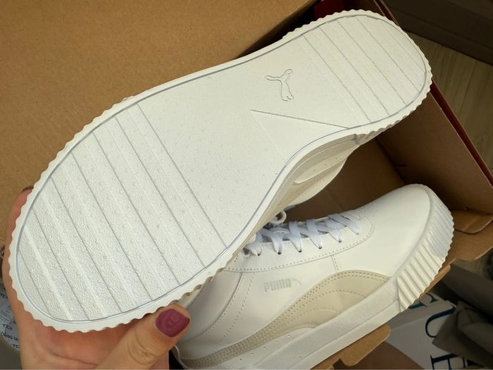 Puma Carina - photo numéro 3