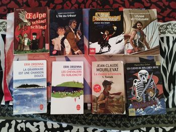 Livres de poche collège ou lycée au choix