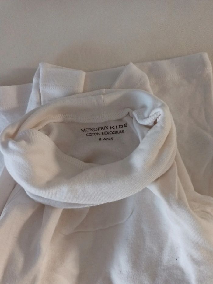 Sous pull - photo numéro 2