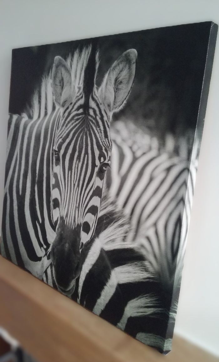 Toile sur cadre zèbre - photo numéro 3
