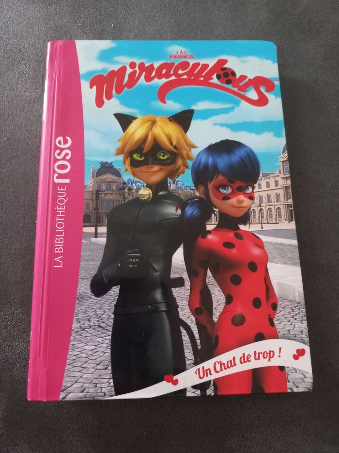 Livre roman bibliotheque rose miraculous tome 2