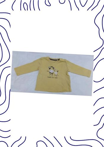 Tee shirt 3-6 mois Lupilu