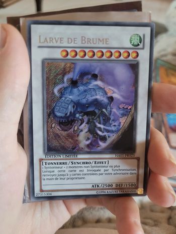 Carte larve de brume