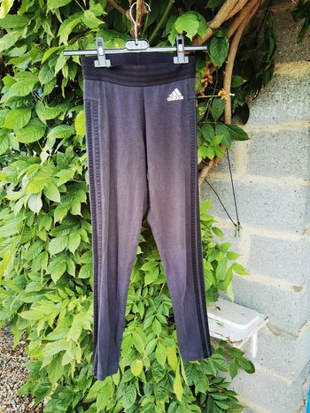 D1230/2 Pantacourt de sport taille XS