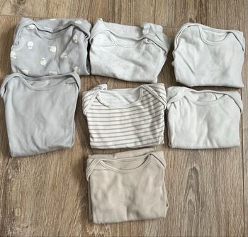 Lot bodies manches courtes